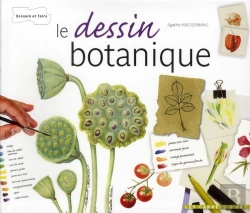 Bertrand.pt - Le Dessin Botanique - Nouvelle Presentation