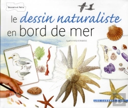 Bertrand.pt - Le Dessin Naturaliste - Bords De Mer