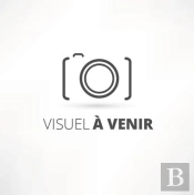 Le Dictionnaire Multilingue Des Mathématiques