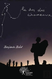 Le Dos Des Chameaux
