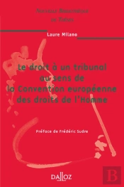 Le Droit À Un Tribunal Au Sens De La Convention Européenne Des Droits De L'Homme