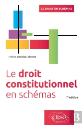 Le Droit Constitutionnel En Schémas (7e Édition)