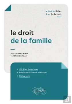 Bertrand.pt - Le Droit De La Famille En Fiches Et En Flashcards