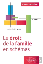 Le Droit De La Famille En Schémas : À Jour De La Loi Du 21 Fevrier 2022 Sur L'Adoption (3e Édition)
