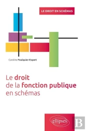 Le Droit De La Fonction Publique En Schémas
