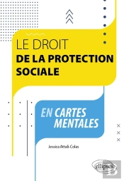 Le Droit De La Protection Sociale En Cartes Mentales