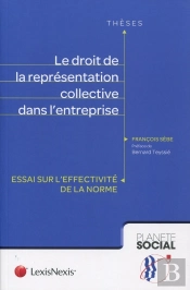 Le Droit De La Représentation Collective Dans L'Entreprise ; Essai Sur L'Effectivité De La Norme
