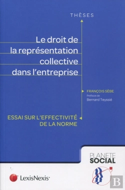 Bertrand.pt - Le Droit De La Représentation Collective Dans L'Entreprise ; Essai Sur L'Effectivité De La Norme