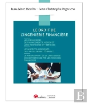 Le Droit De L'Ingénierie Financière : Financement Bilan Sociétés (6e Édition)