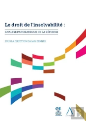 Le Droit De L'Insolvabilité : Analyse Panoramique De La Réforme