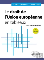 Le Droit De L'Union Européenne En Tableaux : A Jour Au 15 Janvier 2025 (2e Édition)
