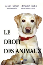 Le Droit Des Animaux
