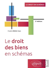 Le Droit Des Biens En Schémas : A Jour Au 15 Avril 2024 (2e Édition)