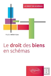 Le Droit Des Biens En Schemas