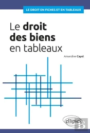 Le Droit Des Biens En Tableaux
