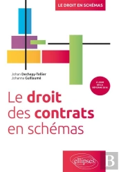 Le Droit Des Contrats En Schémas