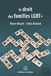 Le Droit Des Familles Lgbt+