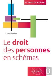 Le Droit Des Personnes En Schémas