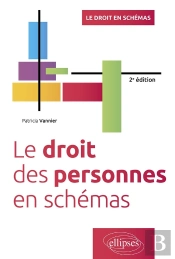 Le Droit Des Personnes En Schémas