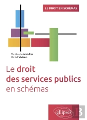 Le Droit Des Services Publics En Schémas : A Jour Au 15 Décembre 2024