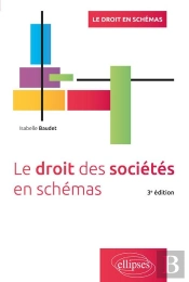 Le Droit Des Sociétés En Schémas (3e Édition)