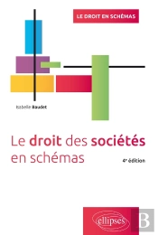 Le Droit Des Societes En Schemas - 4e Edition