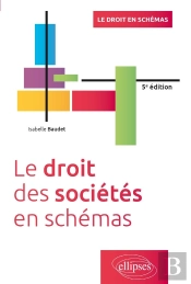 Le Droit Des Sociétés En Schémas : À Jour De La Loi Du 14 Février 2022 En Faveur De L'Activité Professionelle