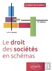 Le Droit Des Sociétés En Schémas