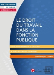 Le Droit Du Travail Dans La Fonction Publique - Relations Individuelles Et Collectives
