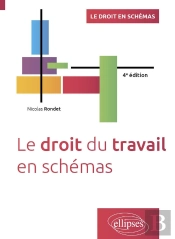 Le Droit Du Travail En Schémas : A Jour Au 1er Juin 2024