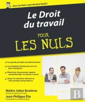 Le Droit Du Travail Pour Les Nuls, 3e