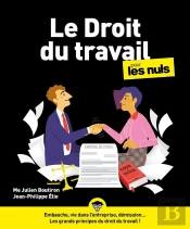 Le Droit Du Travail Pour Les Nuls, 5e