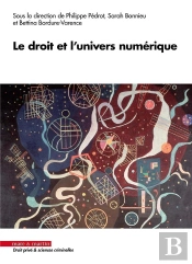 Le Droit Et L'Univers Numerique