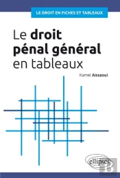 Le Droit Penal General En Fiches Et En Tableaux