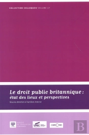 Le Droit Public Britannique ; État Des Lieux Et Perspectives