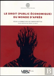 Le Droit (Public Economique) Du Monde D'Apres - Vol06