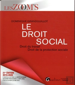 Bertrand.pt - Le Droit Social - 21eme Edition - Droit Du Travail - Droit De La Protection Sociale