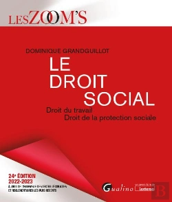 Bertrand.pt - Le Droit Social, 24eme Edition - Droit Du Travail - Droit De La Protection Sociale - Veritable Outil