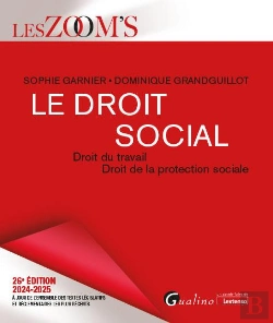 Bertrand.pt - Le Droit Social : Droit Du Travail - Droit De La Protection Sociale Véritable Outil De Travail Pour Apprendre Et Maîtriser Les Règles Du Droit Social (Édition 2024/2025)