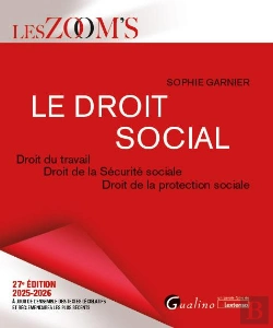 Bertrand.pt - Le Droit Social : Droit Du Travail - Droit De La Sécurité Sociale - Droit De La Protection Sociale - Véritable Outil De Travail Pour Apprendre Et Maîtriser Les Règles Du Droit Social (Édition 2025/20