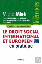 Le Droit Social Europeen Et International En Pratique