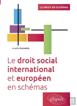 Bertrand.pt - Le Droit Social International Et Européen En Schémas : A Jour Au 15 Mars 2024