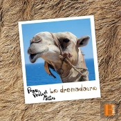 Le Dromadaire