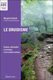 Le Druidisme : Origines, Philosophie Et Pratiques D'Une Tradition Antique