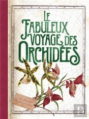 Le Fabuleux Voyage Des Orchidees