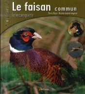 Le Faisan Commun : La Reconquête