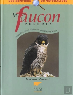Bertrand.pt - Le Faucon Pelerin