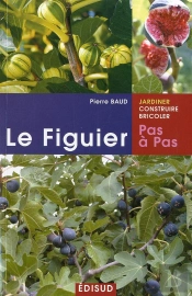 Le Figuier
