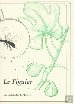 Bertrand.pt - Le Figuier