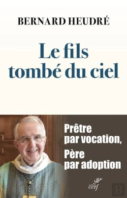 Bertrand.pt - Le Fils Tombé Du Ciel : Prêtre Par Vocation, Père Par Adoption